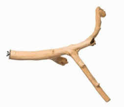 Prevue Pet - Coffea Wood Bird Perches "Y" 24"