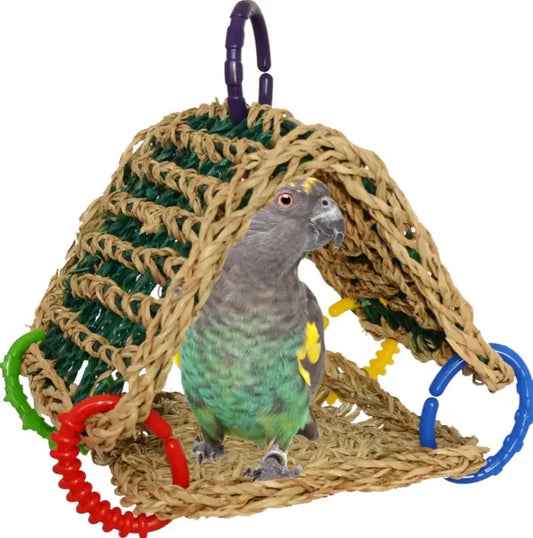 A gray and green parrot standing inside a woven rope play dome with colorful hanging rings, photographed on a plain white background.