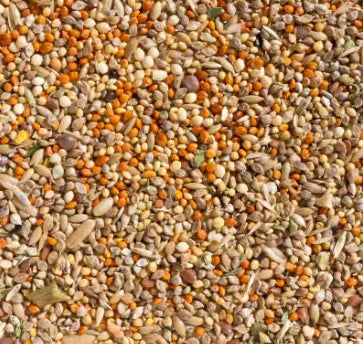 Seeds
