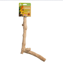 options-12"-Y-branch