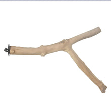 options-12"-Y-branch