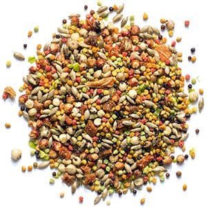 ZuPreem "Pure Fun" Food For Parakeet, Budgies, Parrotlet & Small Birds 2lbs
