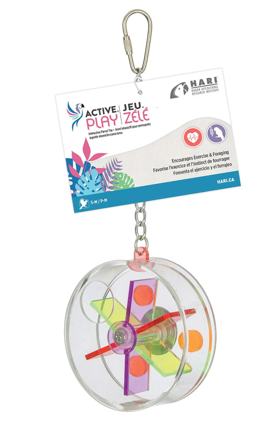 A clear plastic agility hoop keychain for pets by HARI, featuring a colorful plastic wind-up spinner inside. The product is suspended from a silver metal carabiner clip and attached to its original white and blue retail packaging card, shown against a plain white background.