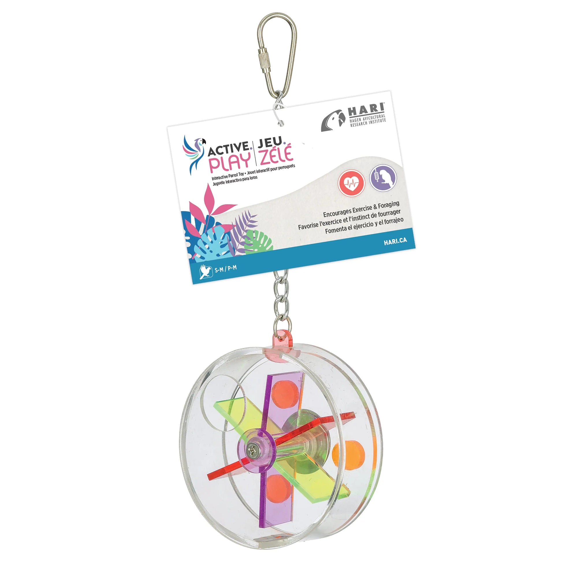 A clear plastic agility hoop keychain for pets by HARI, featuring a colorful plastic wind-up spinner inside. The product is suspended from a silver metal carabiner clip and attached to its original white and blue retail packaging card, shown against a plain white background.