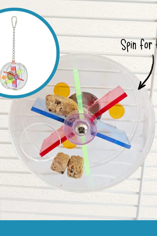 A clear plastic pet toy wheel with colorful red, blue, green, and yellow blades, shown mounted on a white wire hamster cage. Two pieces of pet chow are placed inside the wheel, and handwritten text says 'Spin for treats!'.