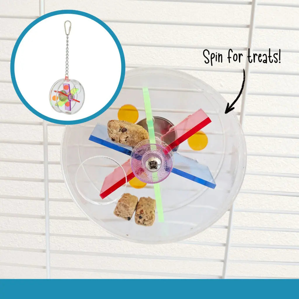 A clear plastic pet toy wheel with colorful red, blue, green, and yellow blades, shown mounted on a white wire hamster cage. Two pieces of pet chow are placed inside the wheel, and handwritten text says 'Spin for treats!'.