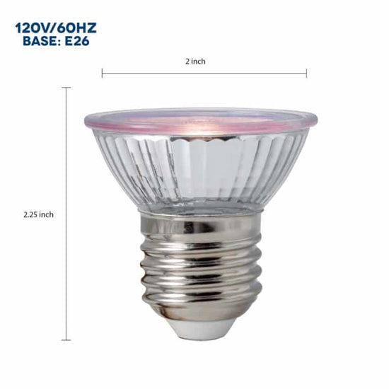 Vision Daylight LED 5 W