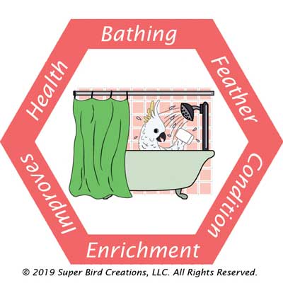 Fold-Away-Shower-Perch 3/4"