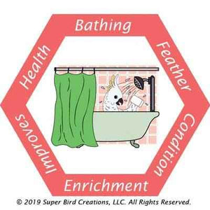 Fold-Away-Shower-Perch 3/4"