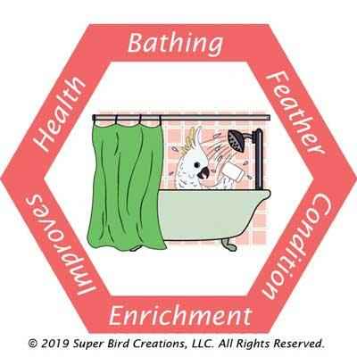 Fold-Away-Shower-Perch 3/4"