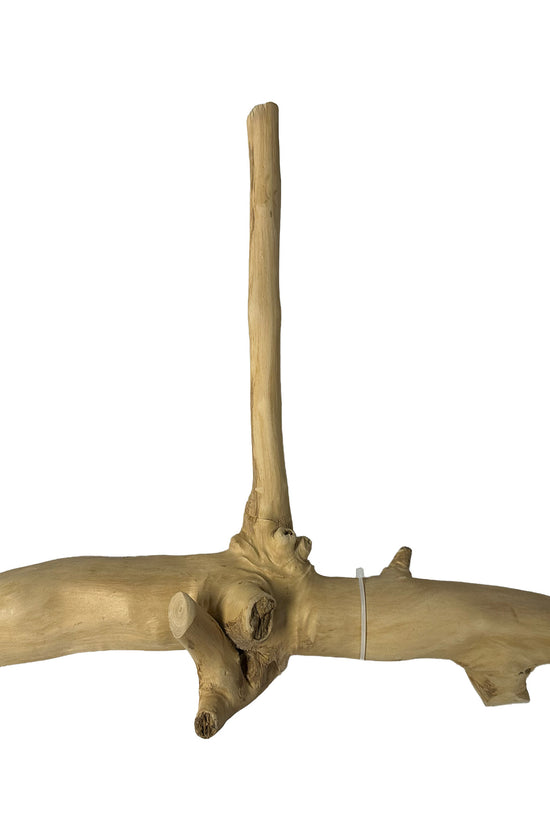 Java Wood Multi-Branch Perch