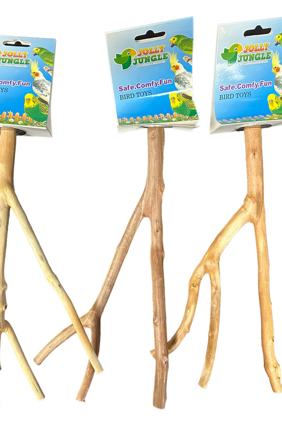 Multi Branch Natural Wood Perch