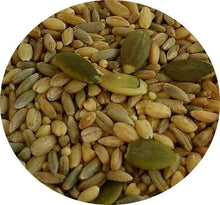 TOP's Organic All-in-One Seed Mix