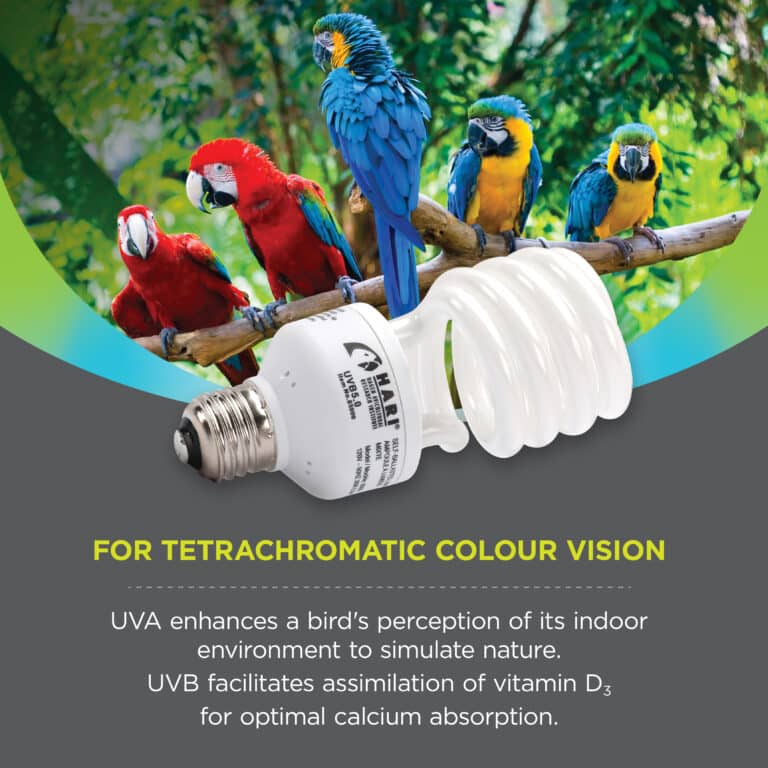 Hari Avian Light UVB/UVA