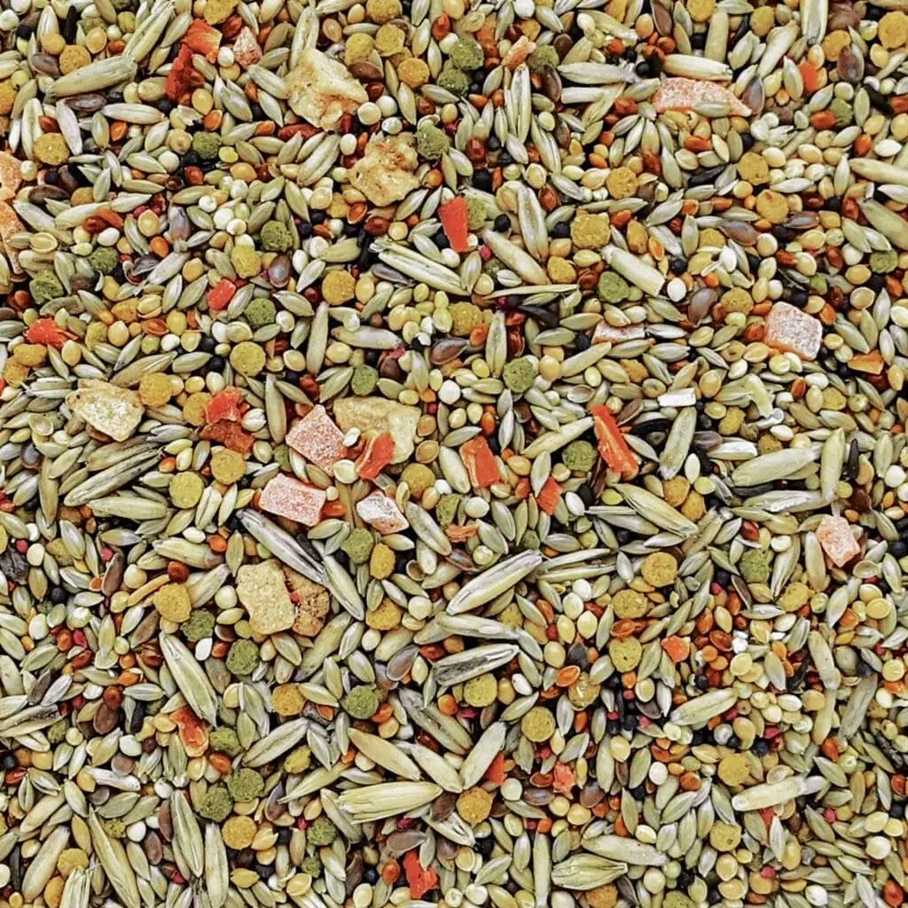 ecomposer-options-budgies