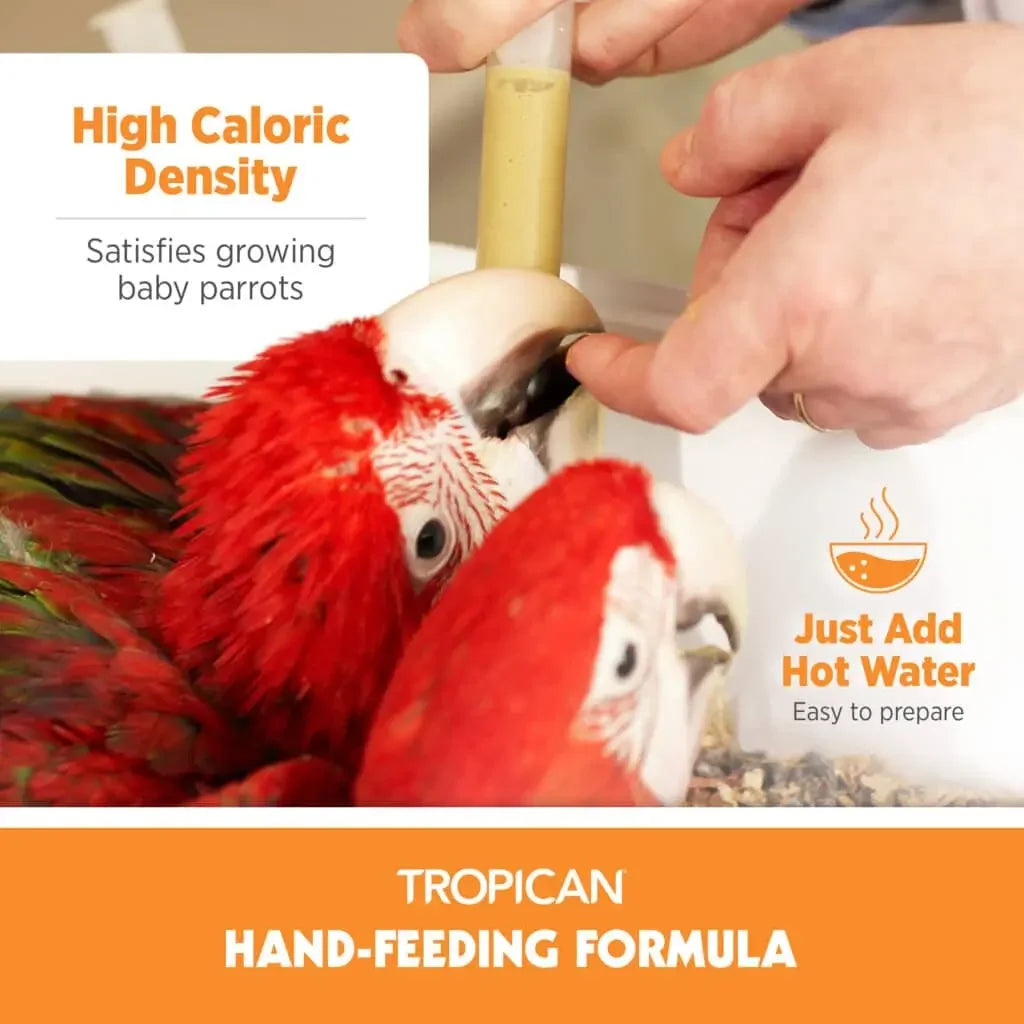 Person feeding a red parrot with a bottle labeled 'Tropicana Hand-Feeding Formula'.