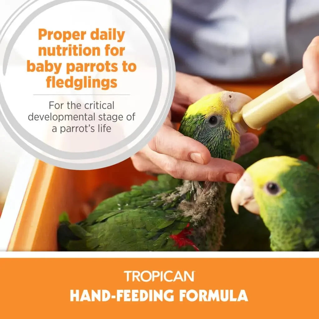 Person feeding a baby parrot with text about proper nutrition for parrots, featuring Tropicana Hand-Feeding Formula.