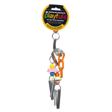 Prevue Pet Chime Time Cyclone