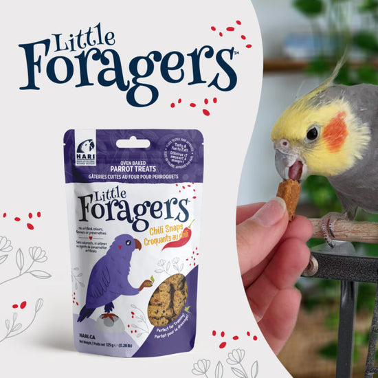 Hari Little Foragers Parrot Treats
