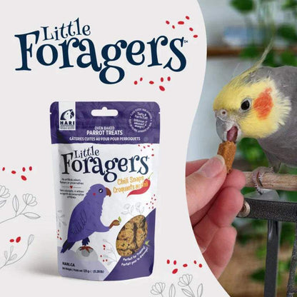 Little Foragers Chili Snaps parrot treats with cockatiel enjoying a snack