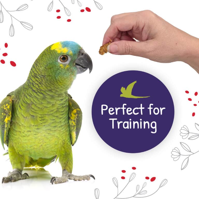 Hari Little Foragers Parrot Treats