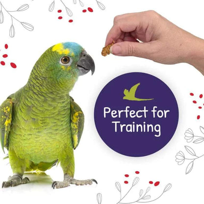 Green parrot being hand-fed training treat, perfect for bird training and positive reinforcement.