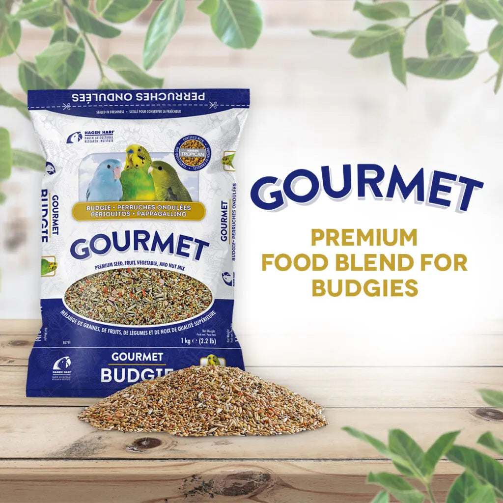 ecomposer-options-budgies