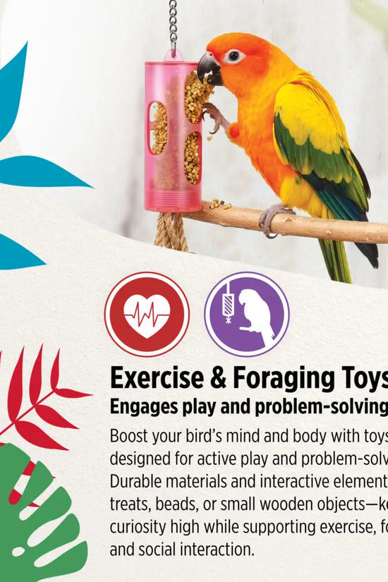 A colorful parrot perched on a wooden branch eating from a pink cylindrical forage toy, with decorative tropical leaves and text describing exercise and foraging toys.