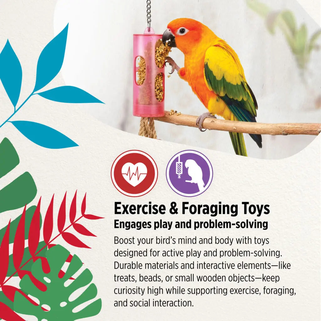 A colorful parrot perched on a wooden branch eating from a pink cylindrical forage toy, with decorative tropical leaves and text describing exercise and foraging toys.