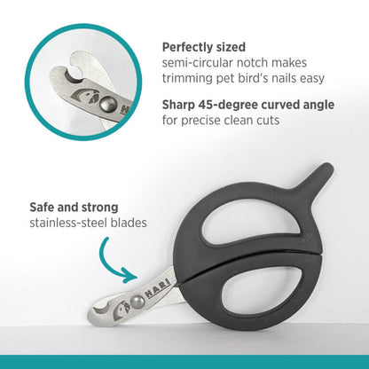 HARI Nail Grooming Scissors Large
