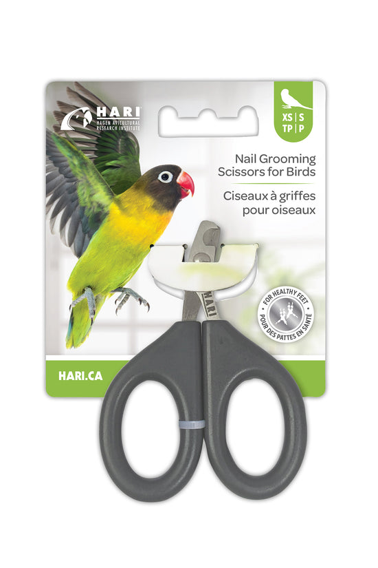 HARI Nail Grooming Scissors