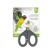Bird nail grooming scissors for healthy feet, ideal for small to medium birds