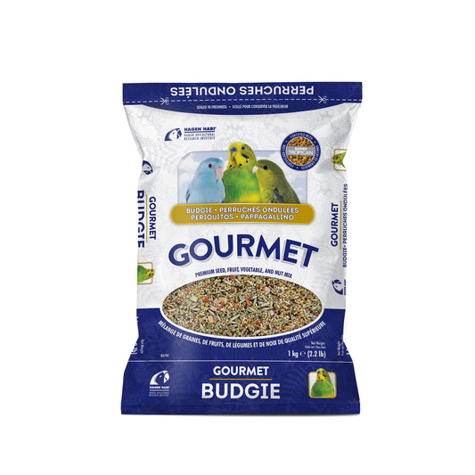 ecomposer-options-budgies