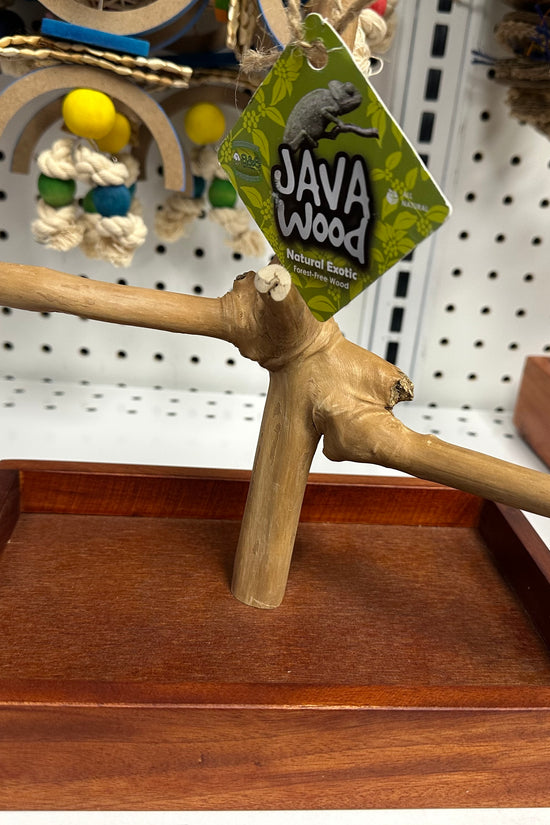 XSmall Java Wood Table Top Play Stand - 8"x5"x11"