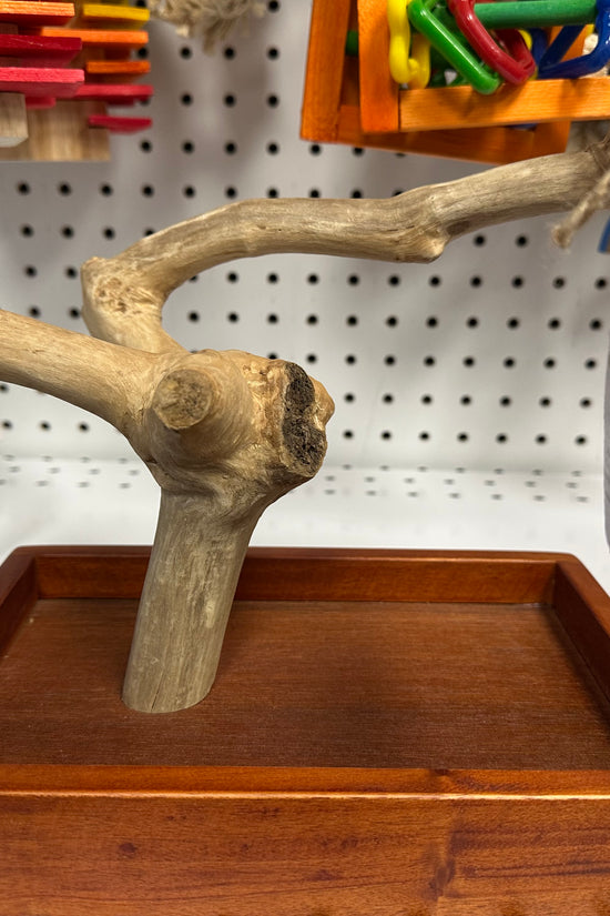 XSmall Java Wood Table Top Play Stand - 8"x5"x11"