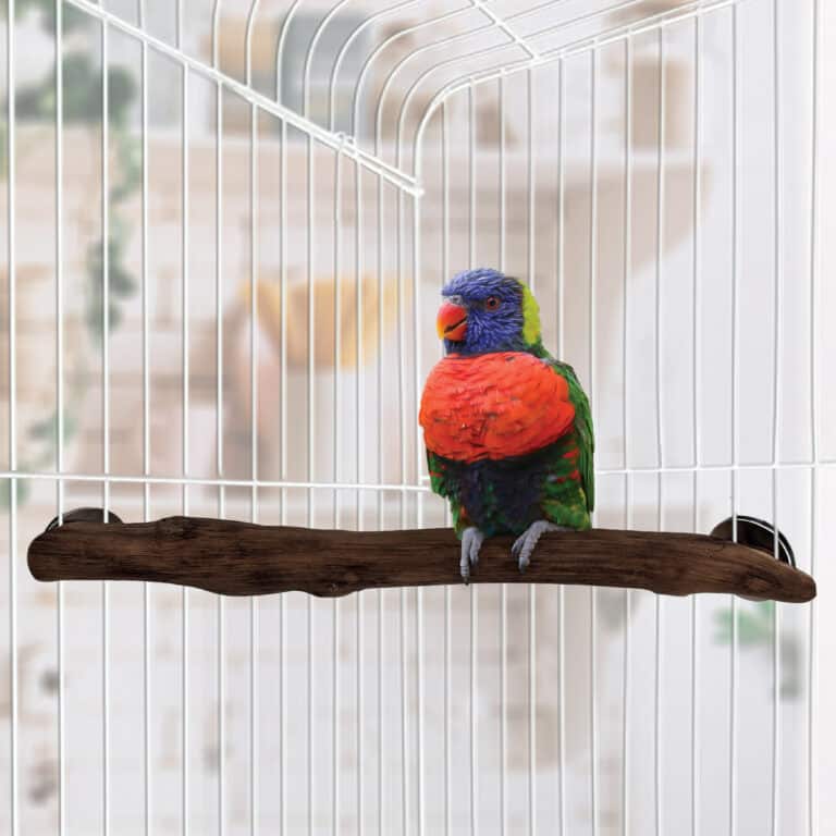 Hari Natural Rattan Corner Perch
