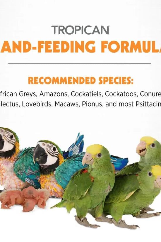 Promotional graphic for Tropican Hand-Feeding Formula, showing several live parrots and two pink chicks on a white background with orange and gray text listing recommended species.
