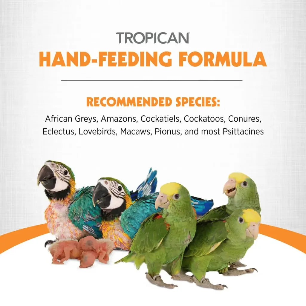 Promotional graphic for Tropican Hand-Feeding Formula, showing several live parrots and two pink chicks on a white background with orange and gray text listing recommended species.