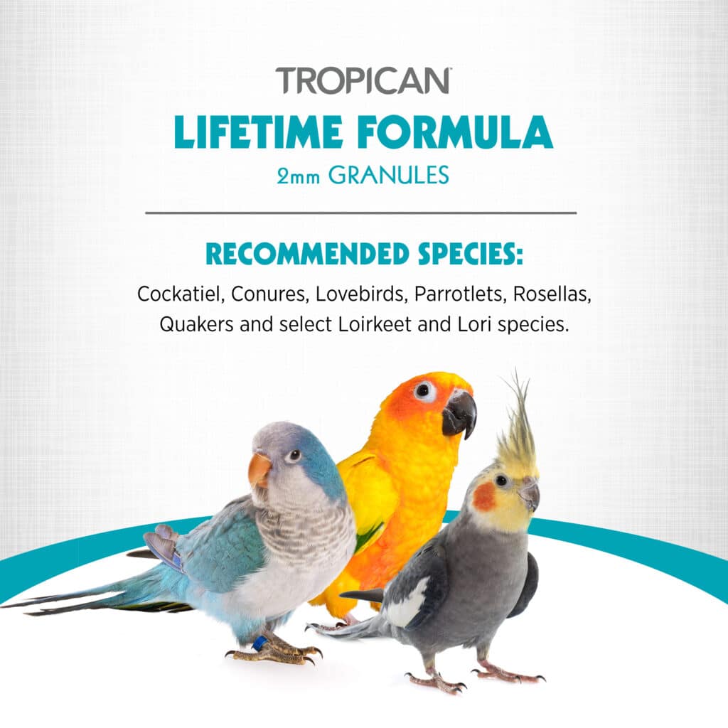 ecomposer-options-2-mm-granules