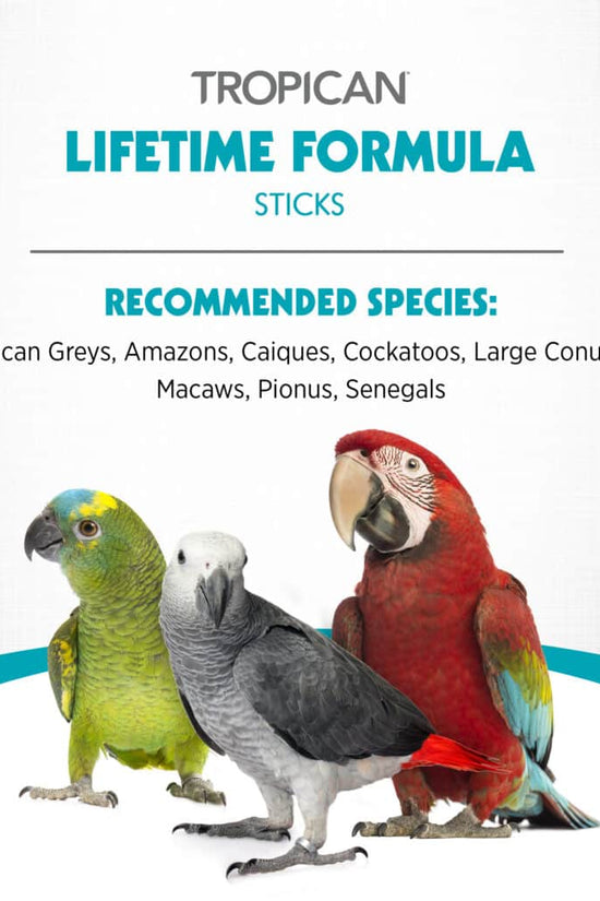 ecomposer-options-parrot-food-sticks