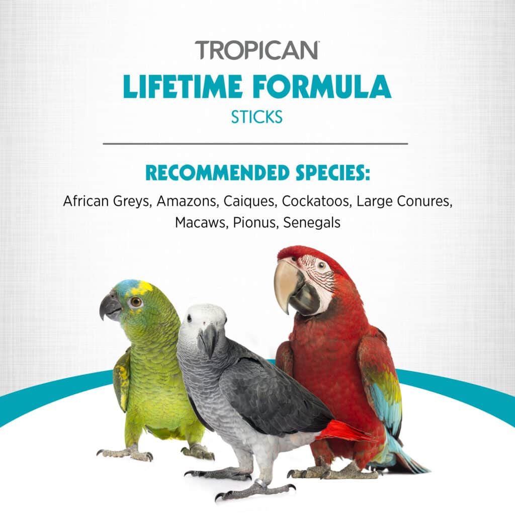 ecomposer-options-parrot-food-sticks