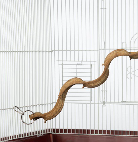 Prevue Hendryx Wacky Wood Vertical Bird Perch 24"