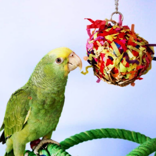 HARI Smart Play Enrichment Parrot Toy - Super Shredding Ball