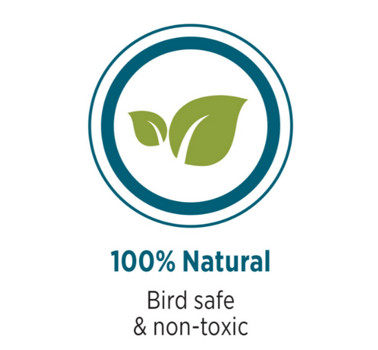 HARI Coffee Wood Bird Perch - Suitable for Large to Extra Large sized parrots