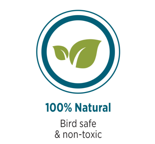 HARI Coffee Wood Bird Perch - Suitable for Large to Extra Large sized parrots