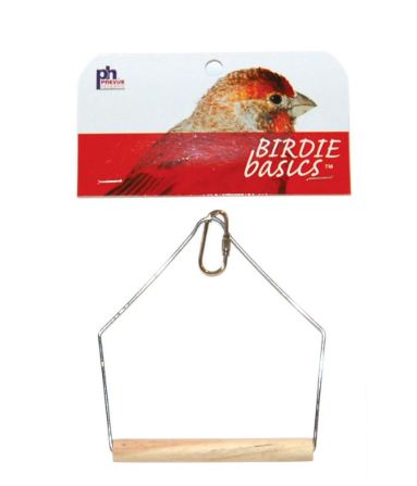 Prevue Birdie Basics Swing