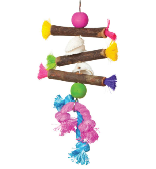 Prevue Tropical Teasers shells & Sticks