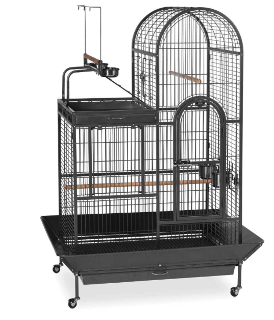 Prevue Deluxe Parrrot Bird Cage with Playtop