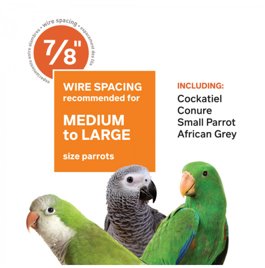 Prevue Deluxe Parrrot Bird Cage with Playtop