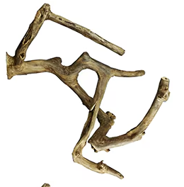 Medium Java Wood Multi Branch Perch